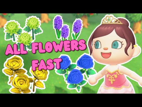 The ULTIMATE guide to flower breeding