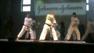 preview picture of video 'Pokaz Karate Kyokushin Staszów - Mikołajki 2008 część 1.avi'