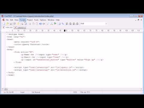 jQuery Tutorial 26 Basic form field selection