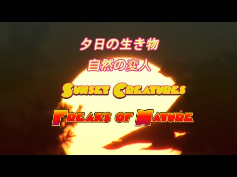 Sunset Creatures 夕日の生き物 "Freak's Of Nature" 自然の変人 (Official Album Trailer)
