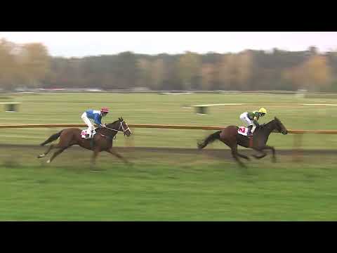 Dostihy Lysá nad Labem 11. 11. 2023 - 5. dostih - Handicap Tankodromu Milovice