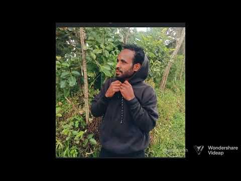 lagu acara popaya🌻🌻🌻🌻🌾🌾🌾🥰🥰🥰🥰