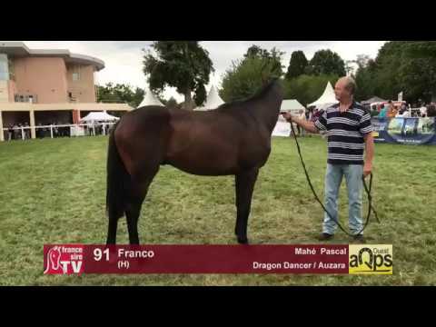 Show AQPS Lion 2017 : Lot 91 - Franco
