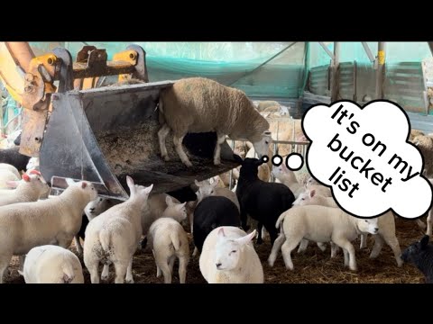 It's on my bucket list