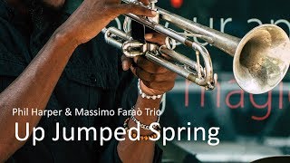 Up Jumped Spring - Phil Harper - Jazz Trumpet Best Ever - PLAYaudio