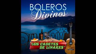 Un Viejo Amor - Los Cadetes de Linares