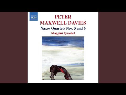 II. Allegro moderato: Dominica Tertia Adventus, Antiphona