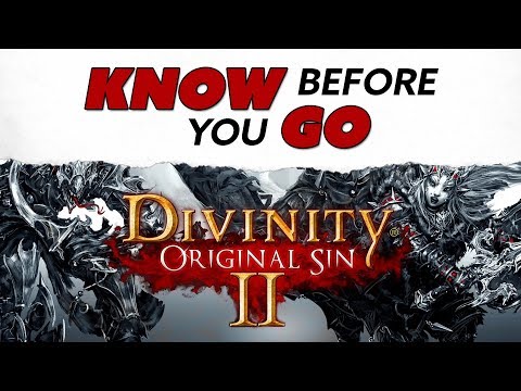 走之前先知道...神性：原罪II (Know Before You Go... Divinity: Original Sin II)