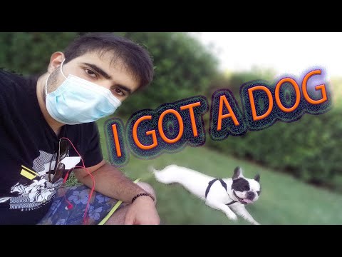 I GOT A DOG | سگ خریدم🎉😊