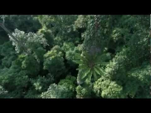 Leo Abrahams - Spider (Jon Hopkins remix)