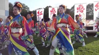 北海道情報大学蒼天祭2015 よさこい「恵庭紅鴉」