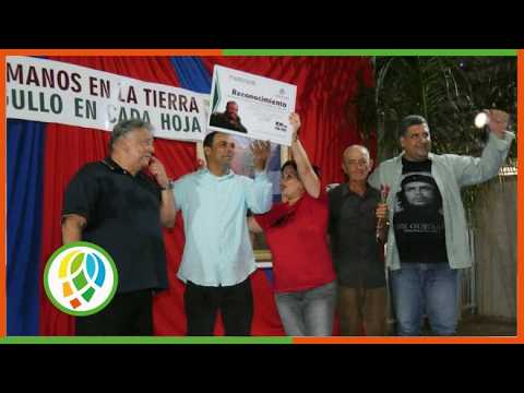 Inicia en La Palma la campaña tabacalera 2026-2027