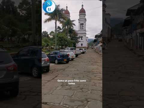 #Charalá el #arbol más grande de #Santander 😮🇨🇴📸 #viajes #travel