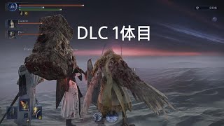 DLCも守護者でがんばる！ELDEN RING NIGHTREIGN