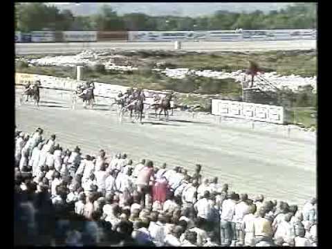 Bergen Travparks Elitlöp 1986 - Florican Will and Torbjorn Jansson