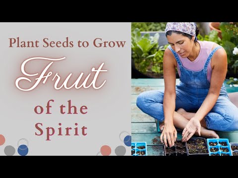 Plant Seeds to Grow the Fruit of The Spirit | Bible Study