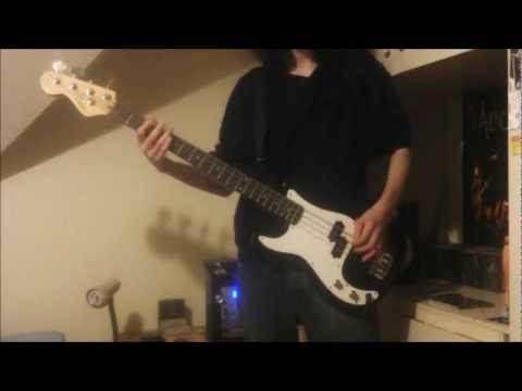 Foo fighters- Enough Space bass cover(HD)