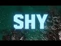 SOHLESS Kiss The Girl Cover Lyric Video