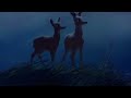 Bambi Song To Love Latino Sub Eng Ing