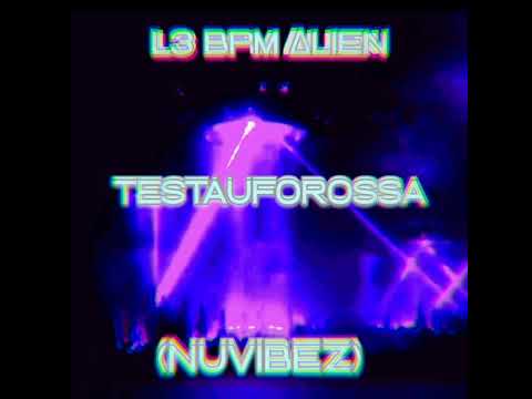 TESTAUFOROSA (NUVIBEZ) 