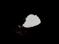 Neonfly - Highways to Nowhere (Official Video ...