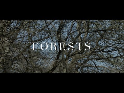 "FORESTS" | SOFT PIANO | Luke Faulkner
