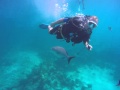 Constellation wreck bermuda diving sept 2015