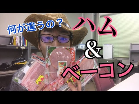 生物生産学科 ハムとベーコンって何が違うの？【身近な食品の疑問５】
