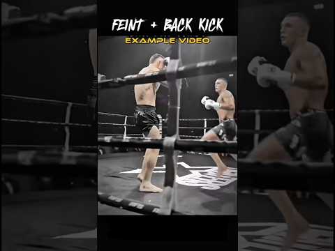 Feint ➝ Back Kick | MMA Combo 🥊🔥 #shorts #ytshorts #martialarts #tutorial #mmatutorial #kickboxing