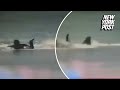Horrible moment surfer is mauled by great white shark that bit off his leg