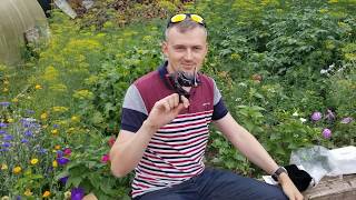 Piscifun honor xt рыболовная катушка