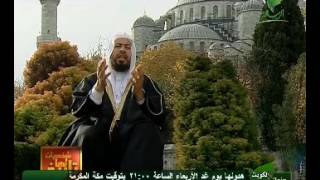 الوزير العثماني محمد باشا بوسنوي image