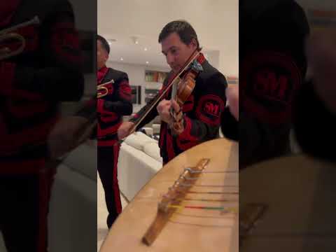 Promotional video thumbnail 5 for Mariachi Band Show Mexicanisimo