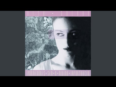 Pormenores Sem A Mínima Importância