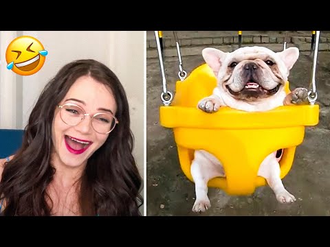 Funniest Cats And Dogs Videos 2022  -   Cute And Funny Animals 😅