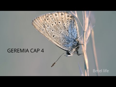 GEREMIA CAPITOLO 4 LETTURA AUDIO E VIDEO