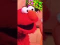 Adam Sandler On Sesame Street