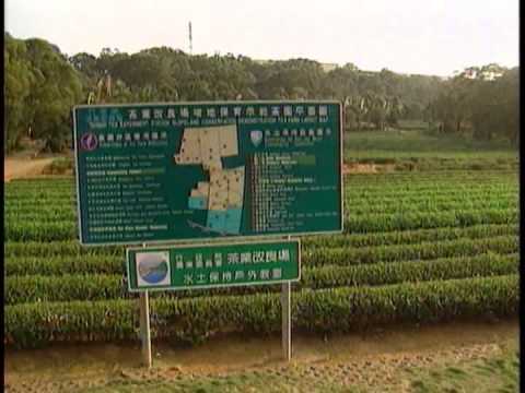 A Brief Introduction of Tea of Taiwan