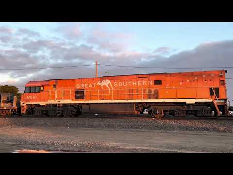 Pacific National NR115 NR22 NR30 1MP2 train Tottenham