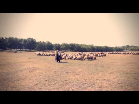 DANIEL BORTES -  SUS PE MUNTELE CINDREL