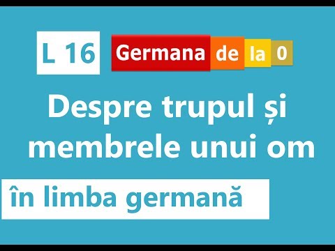 Curs germană - L16: Despre trupul și membrele unui om în limba germană