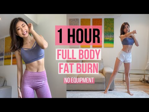 1 HOUR FULL BODY FAT BURN HOME WORKOUT (Warm Up, Arm & Back, Cardio, Ab, Leg & Thigh, Stretch) ~ Emi