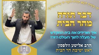 איך מורידים את בית המקדש של מעלה לתוך העולם הזה? | הרב אלישע וולפסון  (ישיבת הר הבית) - התמונה מוצגת ישירות מתוך אתר האינטרנט יוטיוב. זכויות היוצרים בתמונה שייכות ליוצרה. קישור קרדיט למקור התוכן נמצא בתוך דף הסרטון