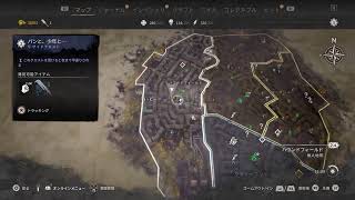 DYING LIGHT2　初見プレー　またーり
