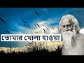 Tomar Khola Hawa | তোমার খোলা হাওয়া | Rabindra Sangeet | Instrumental