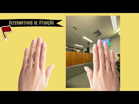 Relatório Fapemig - Impacto da Desigualdade Social sobre as Juventudes em Minas Gerais