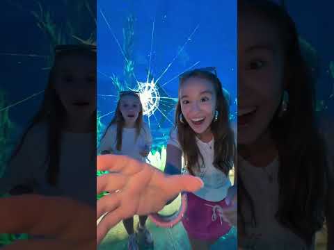 акула нас испугала 😱