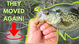 Crappies Make 3 MAJOR Moves Each Spring (Here’s How to Catch Them All Spring!)