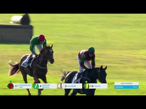 8. 10. 2023 - 7. dostih - 133. Velká pardubická se Slavia pojišťovnou