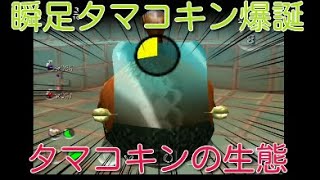 ピクミン2ためにならない講座33【瞬足タマコキンの生態】